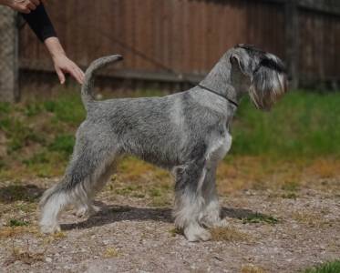 URŠULA PEPPER Grand Calvera