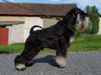 Gilsway GRAND DESIGN