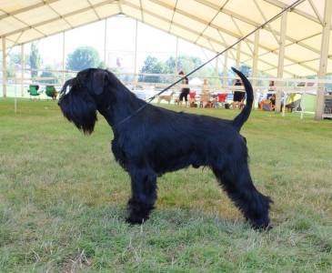 Glamar PERFECT PERFORMANCE