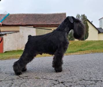 Manit's SIMPLY BLACK MAGIC