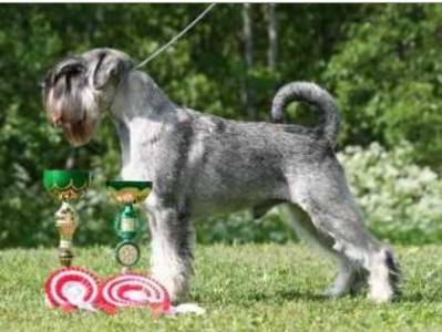 CHIVAS Grand Calvera