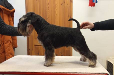 Total Black MIGUEL BOSE'-NA